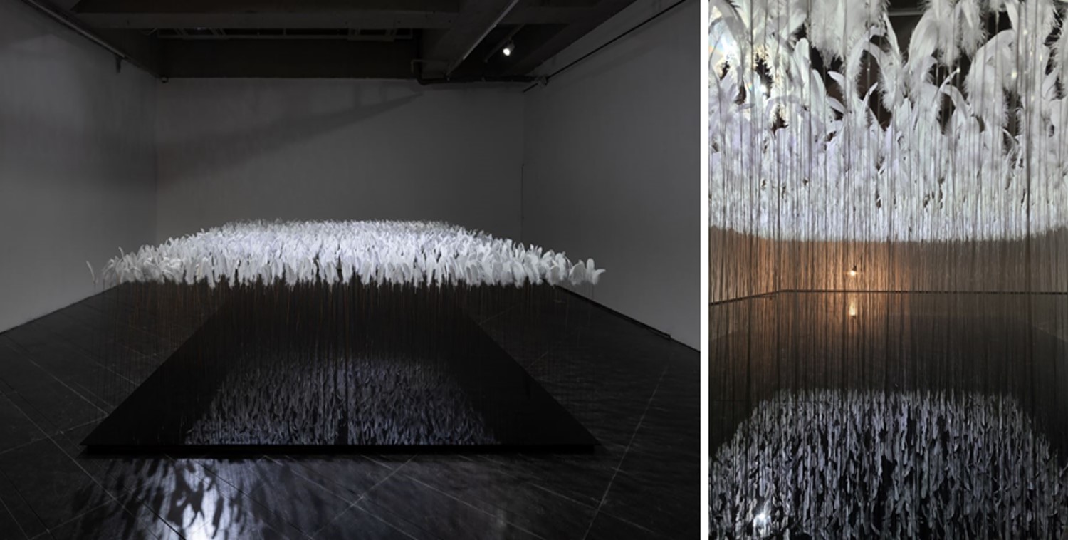 참을 수 없는 존재의 가벼움, 깃털, 스테인리스 스틸, 아크릴판, 320 x 480 x 120cm, 2021