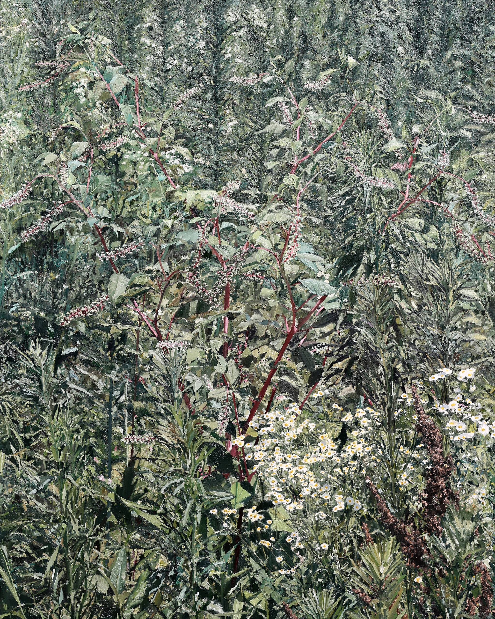 미국자리공, 소리쟁이, 양미역취, 주걱개망초, 2024, oil on canvas 227.3×181.8cm