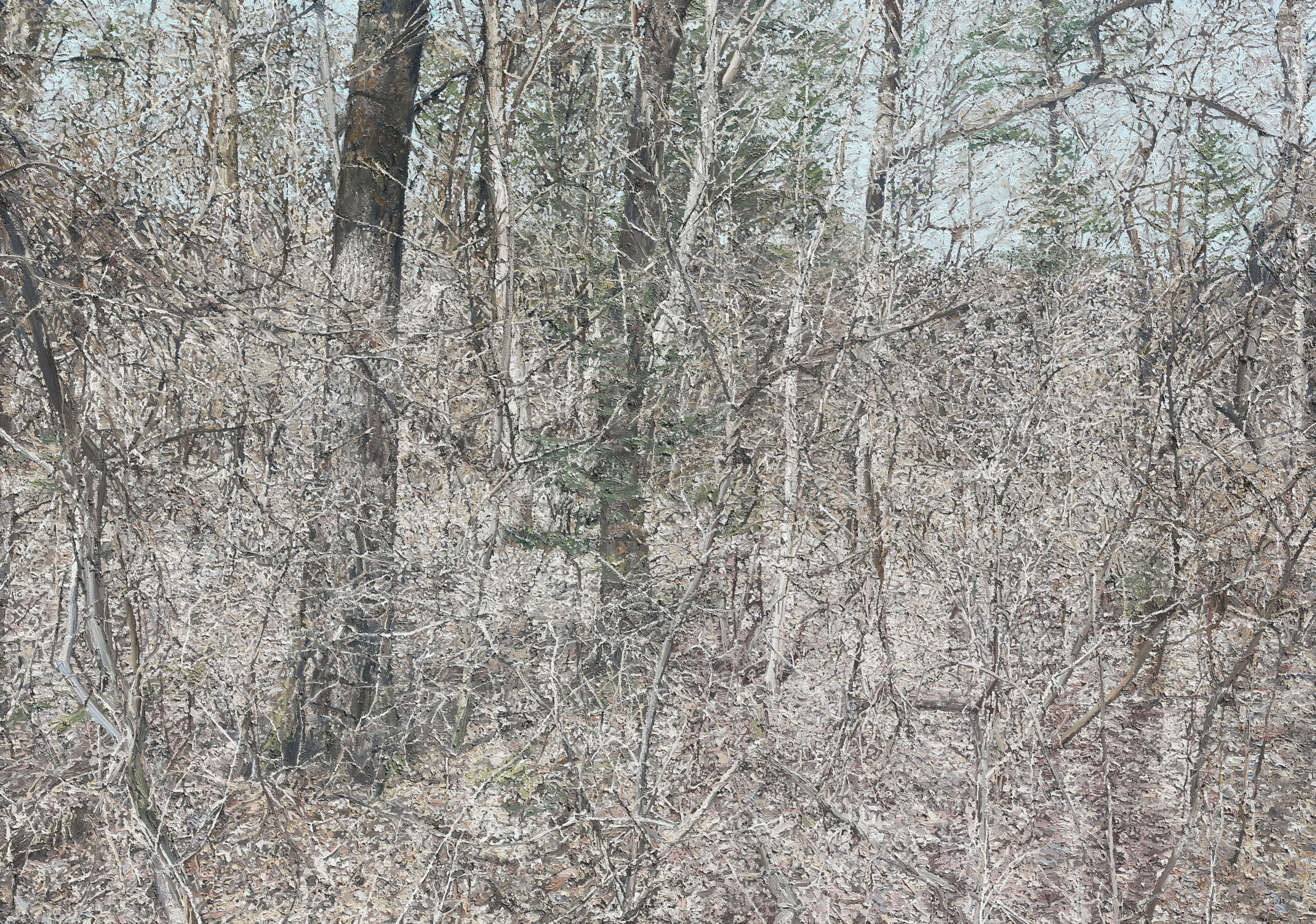 구만리 숲, 2025, oil on canvas, 181.8×259cm