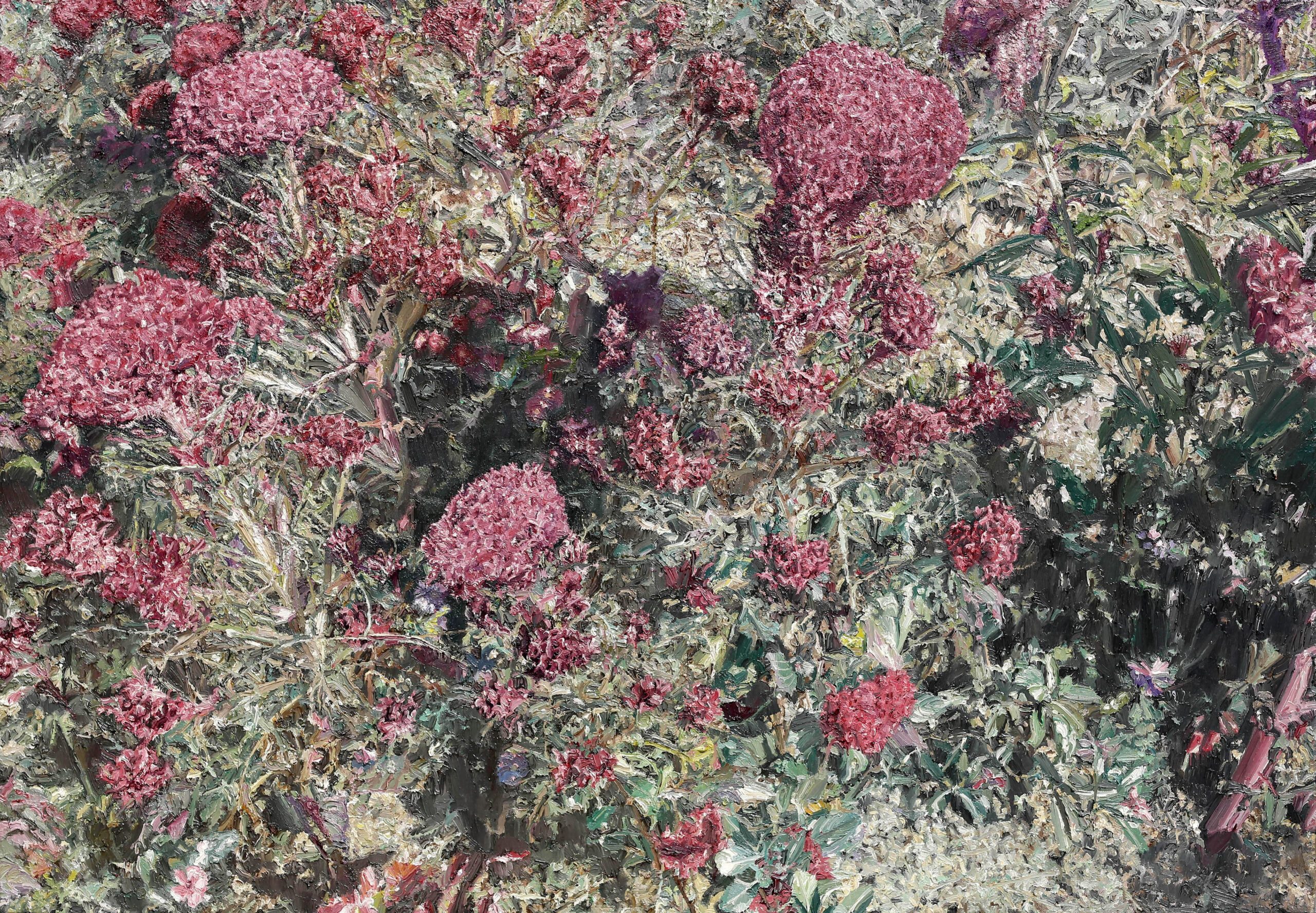 맨드라미, 2025, oil on canvas, 112×162cm